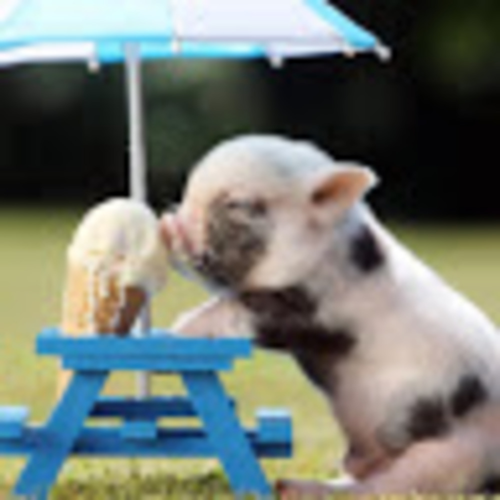 Meet your Posher, Leah